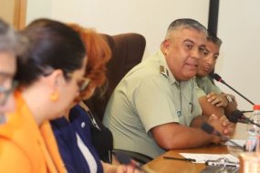 Buenas noticias: pleno del CORE aprueba recursos extras para adquirir nuevo avión para Carabineros