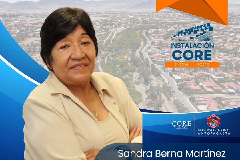 ¿Quiénes integran el Consejo Regional de Antofagasta 2025-2029 y representan a la Provincia de El Loa?