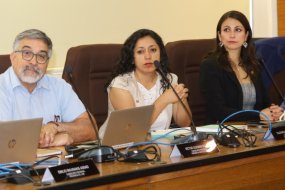 Consejeros y consejeras inician trabajo de comisiones con inducción sobre gasto público regional