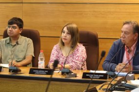 Consejeros y consejeras conocen propuesta para contratación adicional de profesionales para ministerios y servicios públicos