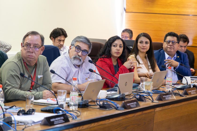 Consejeros regionales emiten comunicado público sobre proyecto de generación de amoníaco verde en las cercanías de observatorio