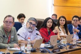 Consejeros regionales emiten comunicado público sobre proyecto de generación de amoníaco verde en las cercanías de observatorio
