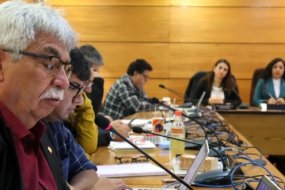 Pleno del CORE decidirá recursos F.N.D.R. para pacientes de Teletón, nuevo cuartel de Carabineros de Ollagüe y clínica veterinaria móvil para Mejillones