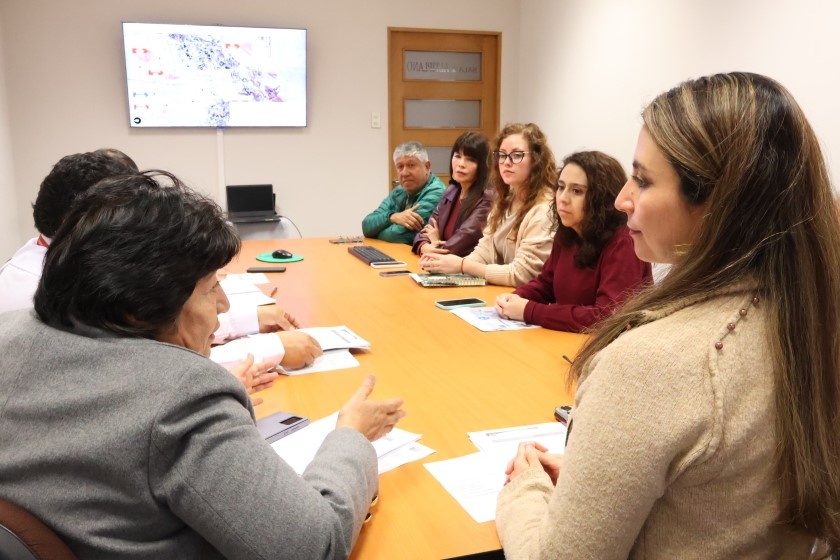 Pleno del CORE decidirá recursos F.N.D.R. para mejorar el barrio industrial y construir la primera etapa del parque René Schneider etapa 1 de Calama