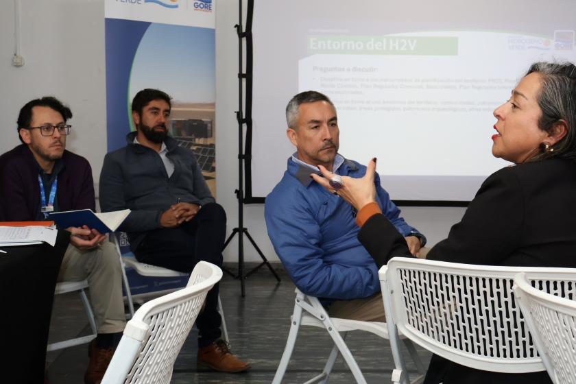 Hidrógeno verde: Consejeros regionales respaldan incorporación de la participación ciudadana en proyectos para ampliar matriz energética regional
