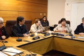 En reunión del CORGAPU: Consejeros regionales respaldan gestiones para agilizar el gasto del F.N.D.R.
