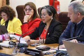 Ya es realidad: CORE aprueba cámaras de vigilancia con IA y portales de lectura de patente para Antofagasta, Calama y Tocopilla
