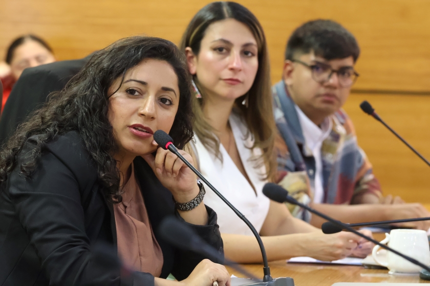 Consejeros regionales analizan Concurso F.N.D.R. 8% y proyectan mejoras para el proceso 2026