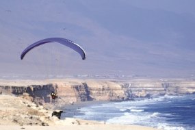 Antofagasta potencia su imagen como “La Perla del Norte”: municipio adjudicó proyecto para la compra de bus turístico