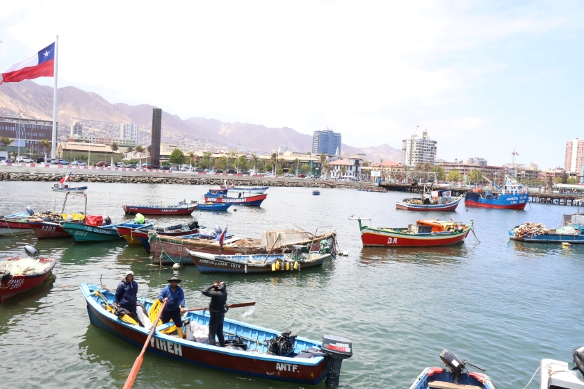 Impulso a la pesca artesanal: Caleta de Antofagasta contará con nueva grúa gracias a inversión del CORE