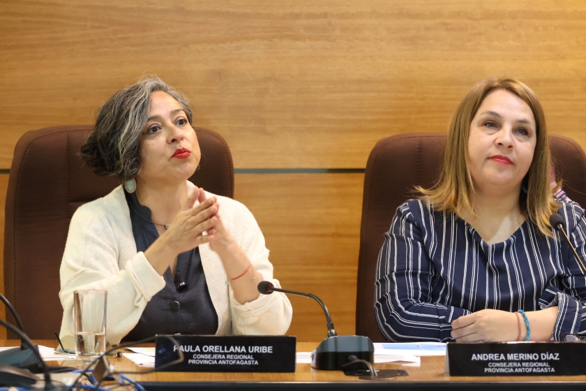 Pleno de este jueves: CORE analizará recursos para hospitales, postas rurales, educación y Bomberos