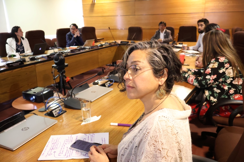 Consejera Orellana destaca gobernanza local y participación ciudadana en construcción de la Hoja de Ruta del Hidrógeno Verde