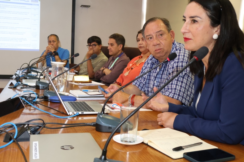 Antofagasta define su apuesta energética: CORE vota hoja de ruta para liderar el hidrógeno verde al 2050