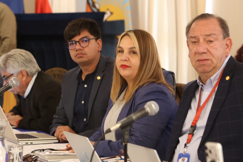 CORE solicita reunión con Delegación Presidencial Regional para abordar eventuales rebajas a proyectos ya aprobados